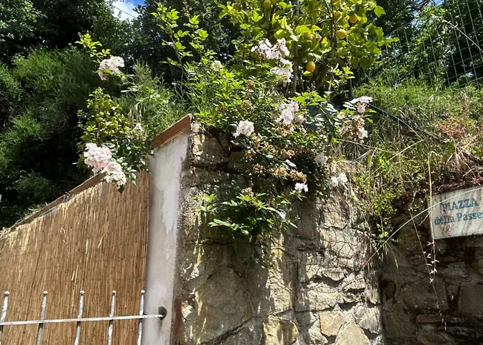 Vacanze Toscane Relax Privacy * San Baronto